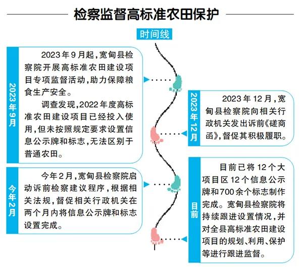 球速体育